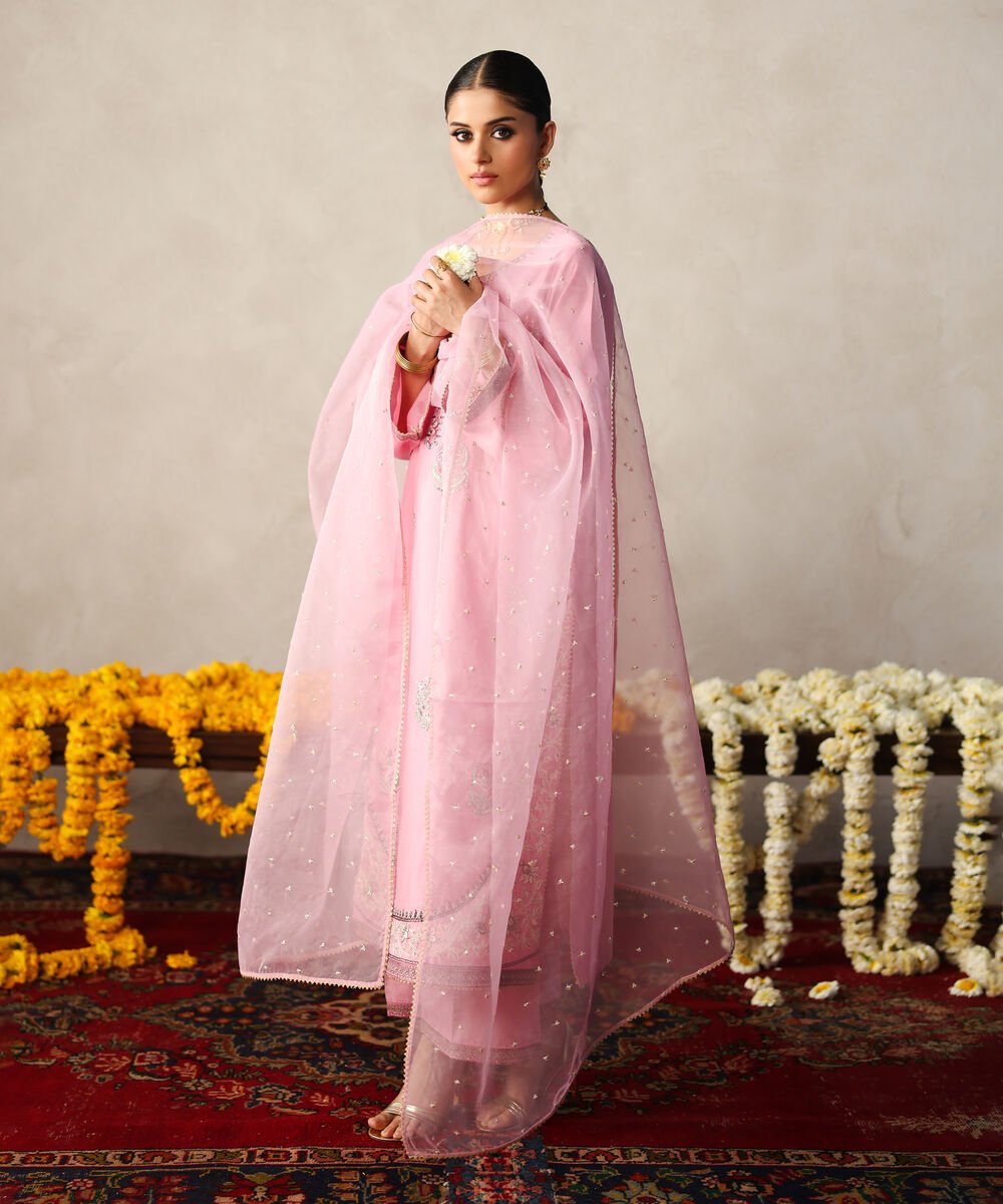3 Piece - Embroidered Cotton Net Suit