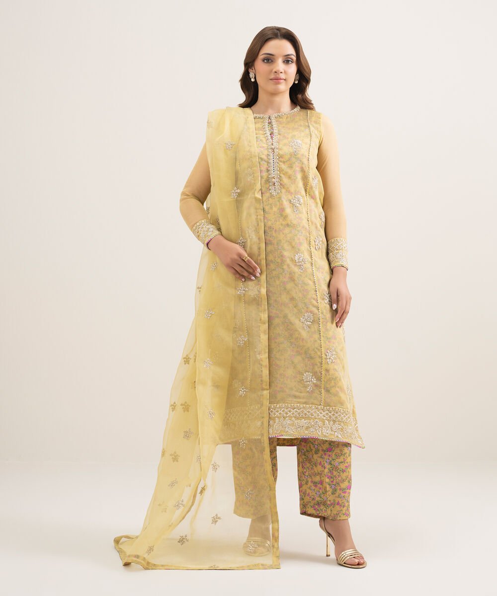 3 Piece - Embroidered Organza Suit