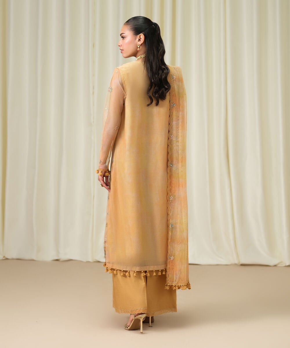 3 Piece - Embroidered Net Suit