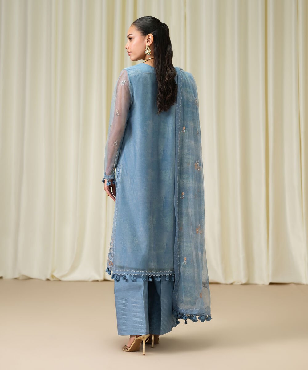 3 Piece - Embroidered Net Suit